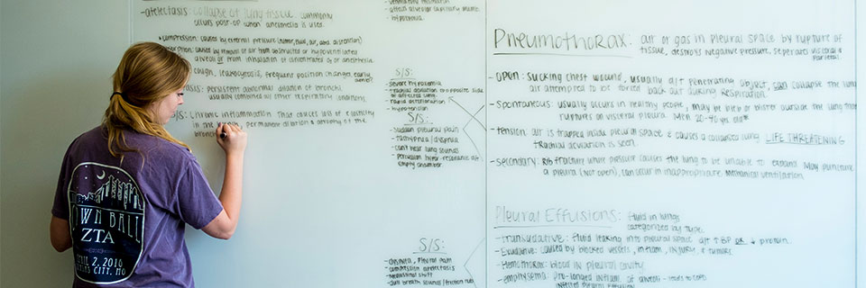 Health Science A student studies for a health science exam by writing on a white board wall