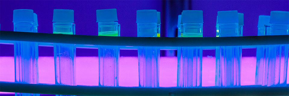 Materials Science Laboratory vials
