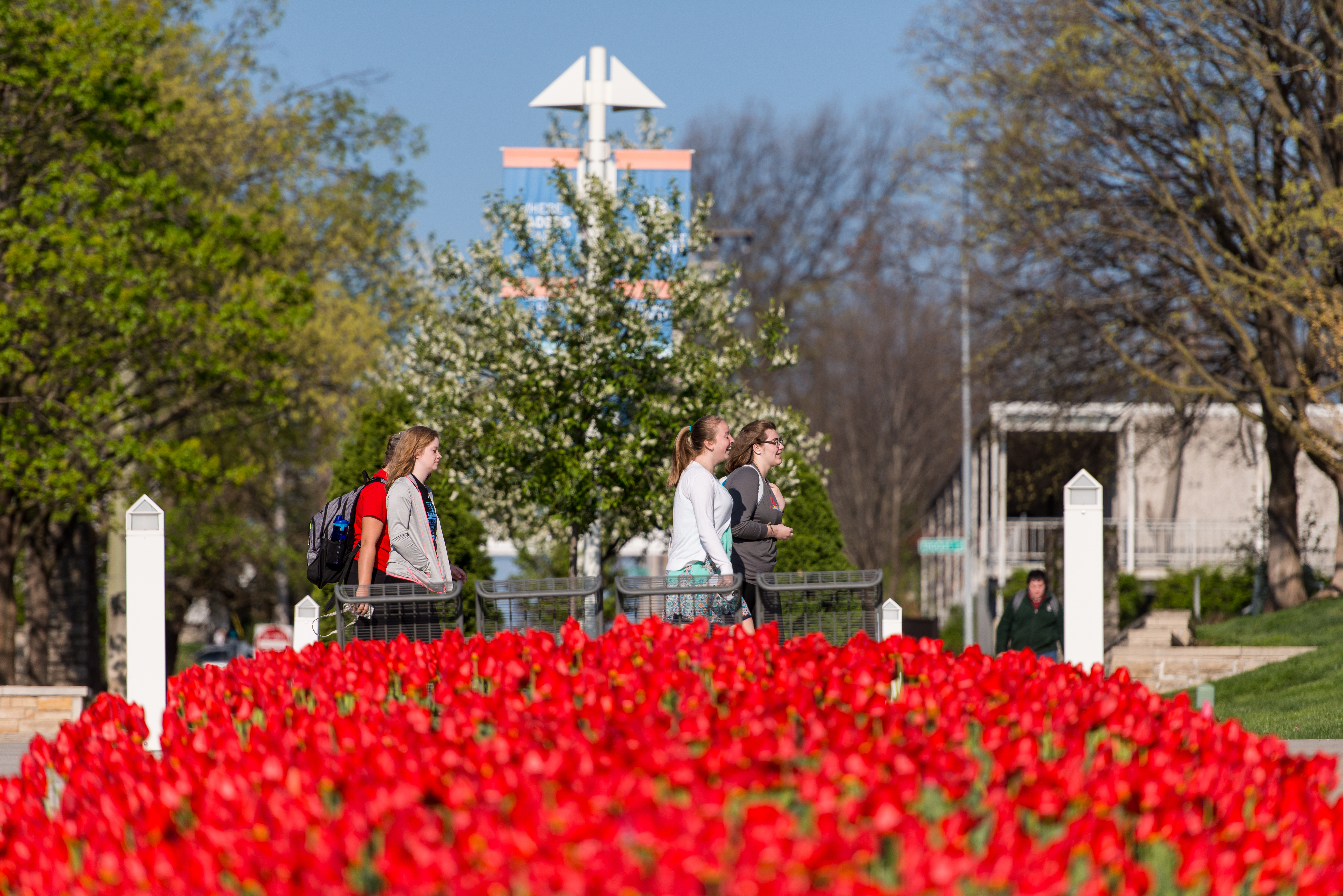 Rockhurst campus tulips