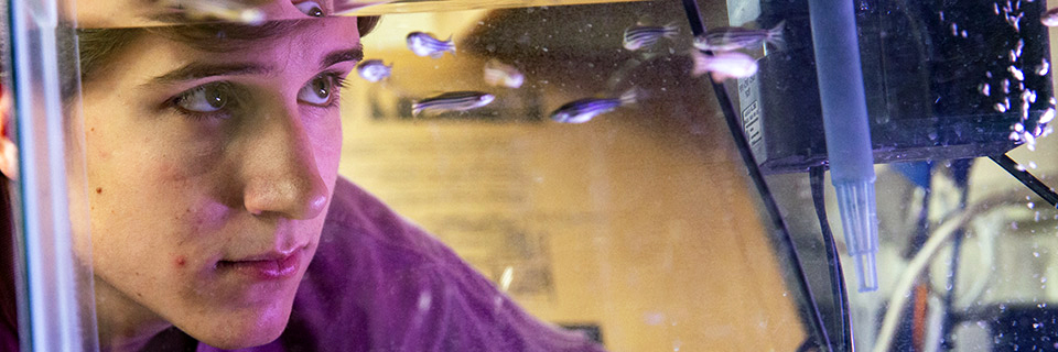 Biology Overview Student looking at aquarium