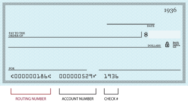 blank check example
