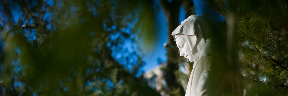 Emergency Contacts St. Mary Statue on Campus