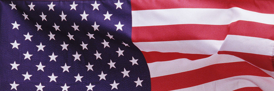Constitution Day American Flag