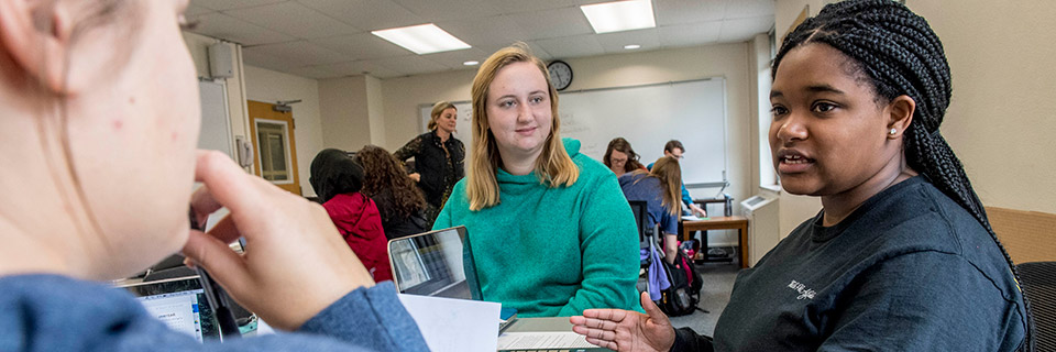 Students work in small groups in an education class.