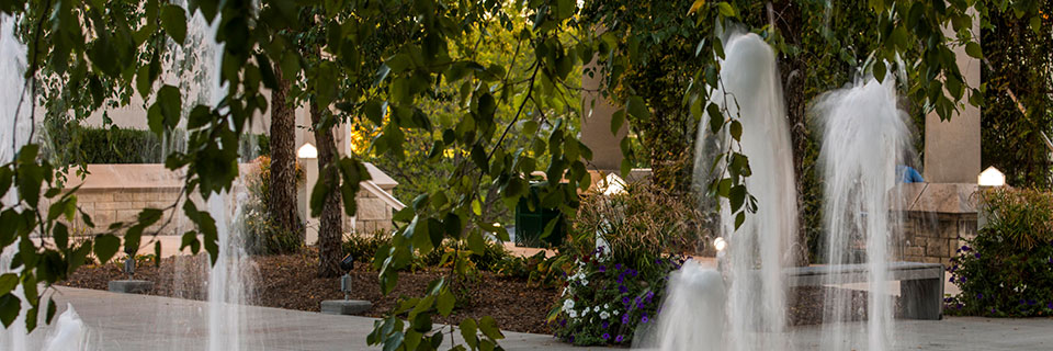 Fountains and foliage on campus