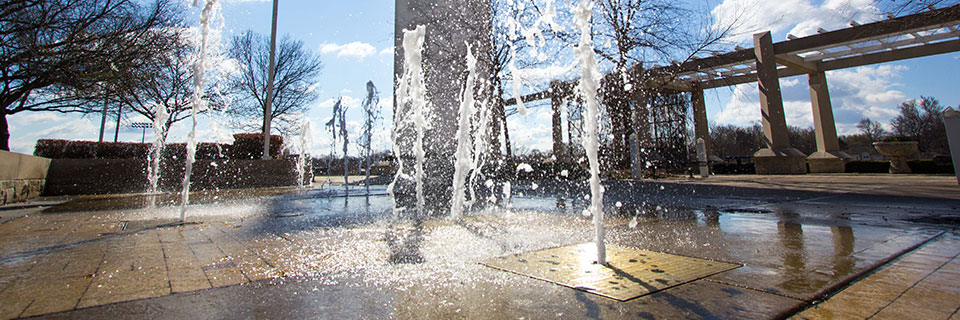 Fountains Fountains