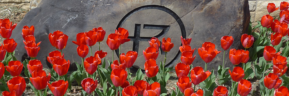 Tulips and Rockhurst Logo Rockhurst logo flowers