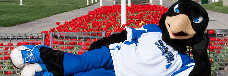 Social Media Directory Rockhurst University mascot