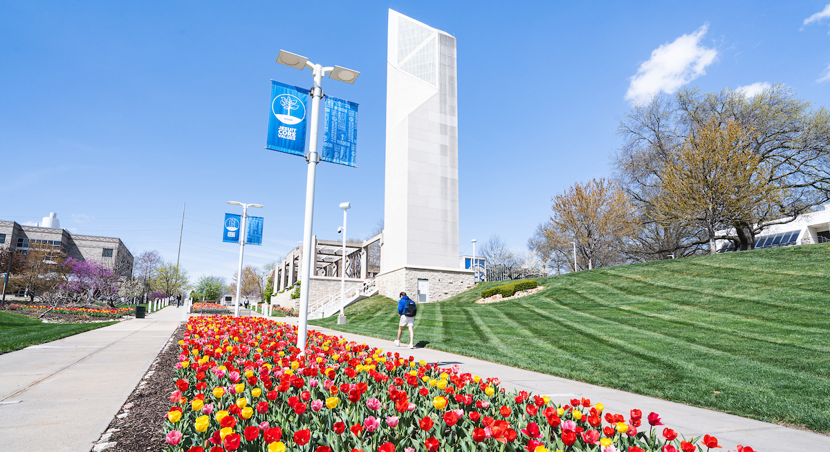 University