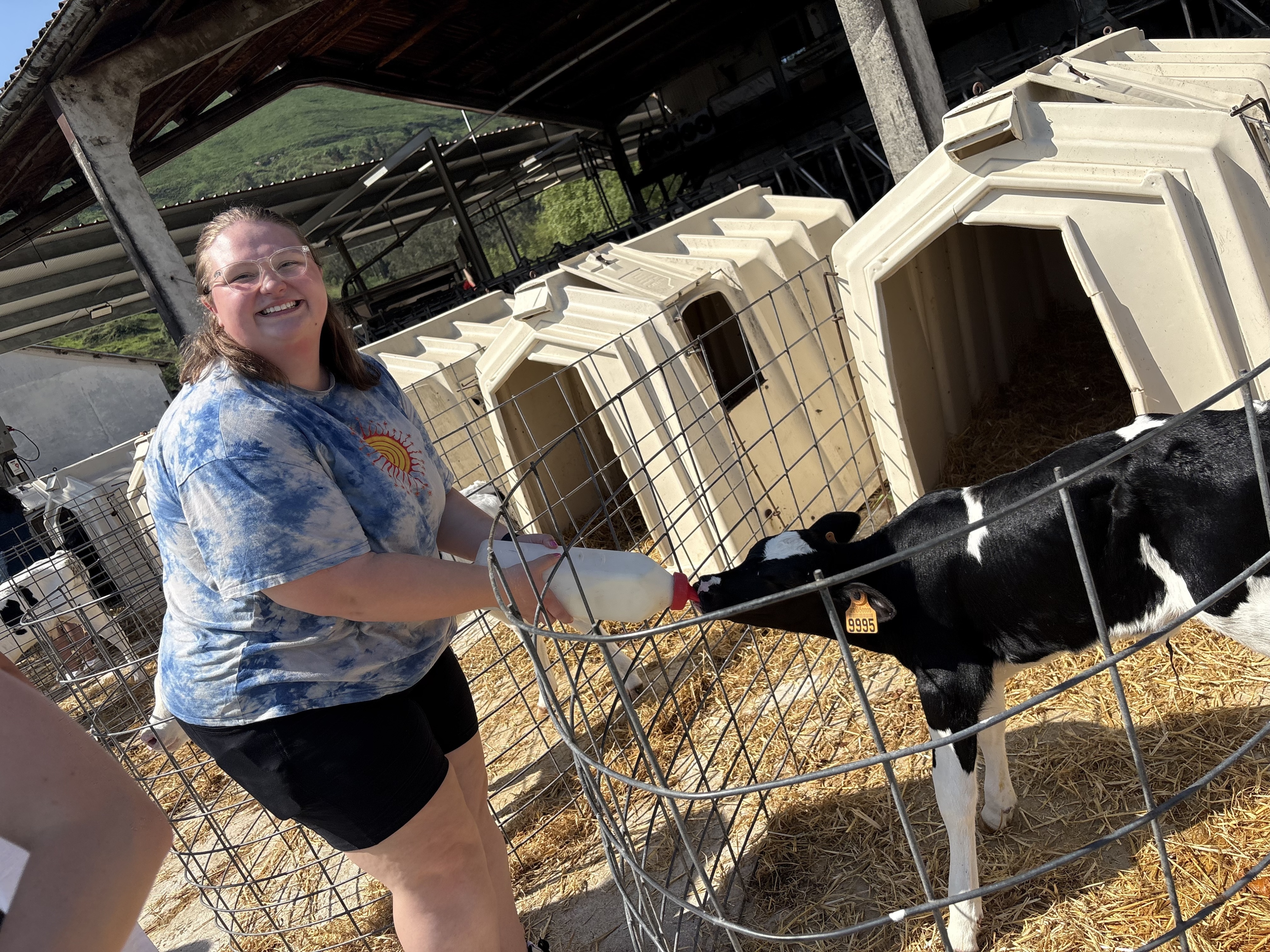A study abroad participant smiles at the camera while feeding a baby calf in Cantabria, Spain