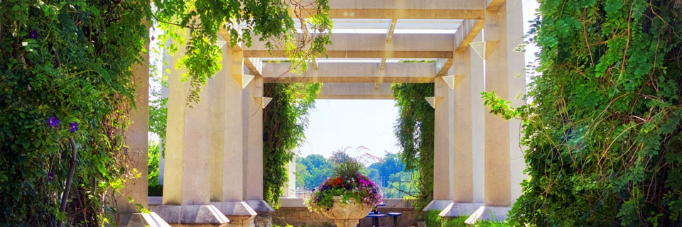 Pergola Pergola