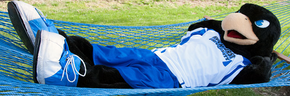 Social Media Rockhurst University Mascot