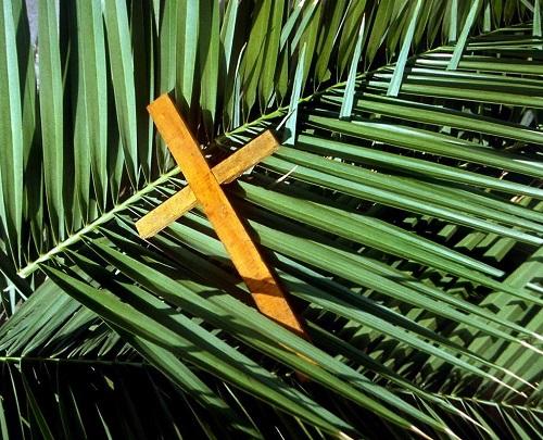 Palm Sunday Mass in St. Louis