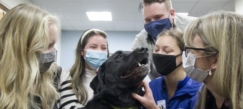 Therapy Dog Offers Comfort to Campus and Its Visitors