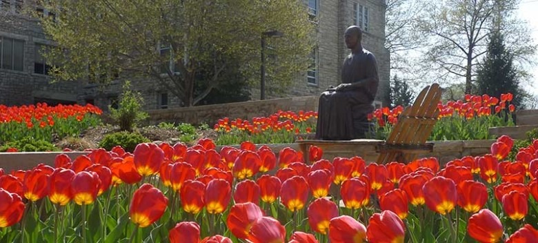Rockhurst University Honors National Healthcare Leader Dr. David Wild