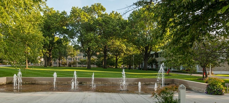 Rockhurst Earns Area's First Tree Campus Designation