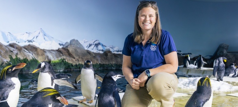 Jennifer Douglas kneeling inside the penguin habitat at the Kansas City Zoo & Aquarium.