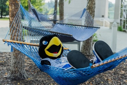 Summer Orientation, Advising & Registration (SOAR)