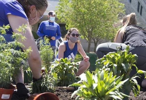 Students and faculty plant a pollinator garden